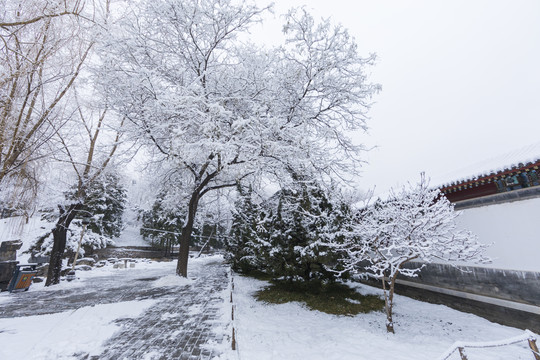 北京雪