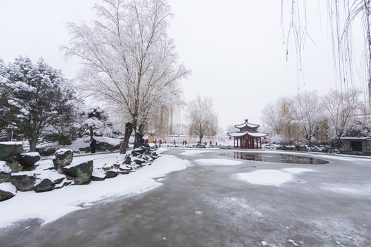 北京雪