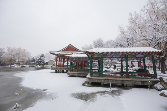 北京雪