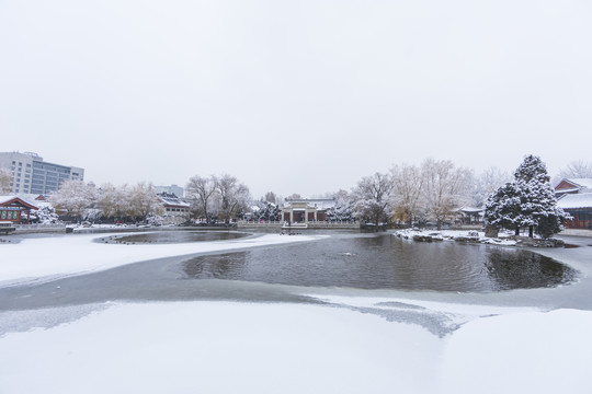 北京雪