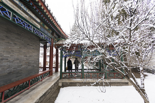 北京雪