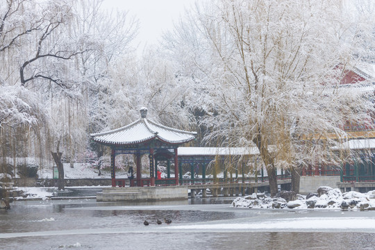 北京雪