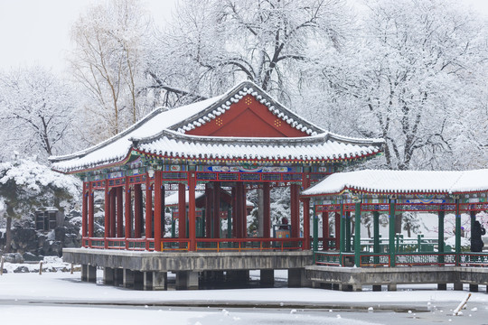 北京雪