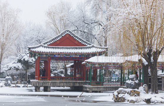 北京雪