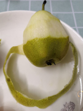 贡梨