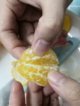 皇帝柑