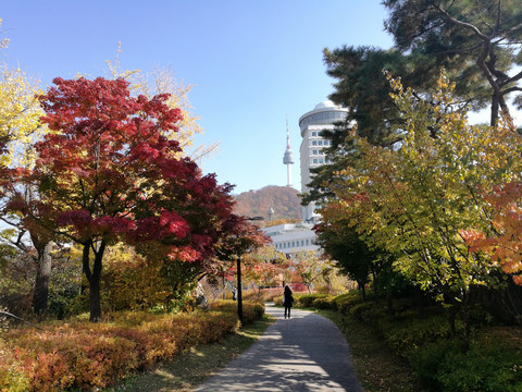 韩国首尔南山公园秋景