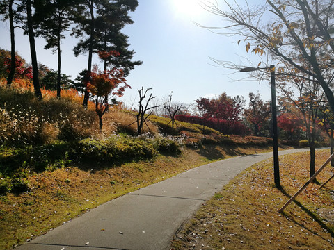 山路秋景