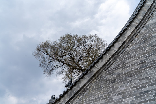 天空下的砖墙和树