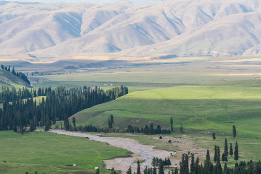 秋季的新疆伊利那拉提空中草原