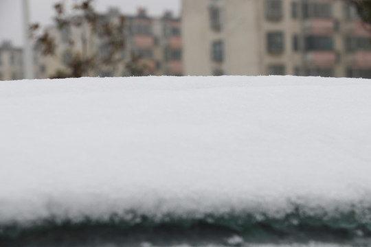 白雪特写