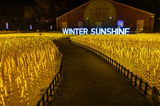 迎接春节的冰雪灯光展夜景