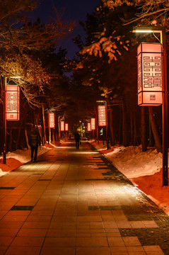 迎接春节的冰雪灯光展夜景