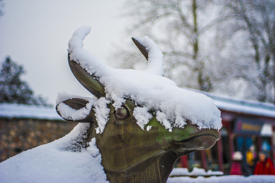 北京颐和园雪景