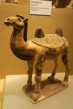 陕西西安文物彩绘釉陶骆驼