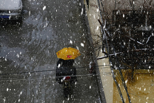 行人飘雪