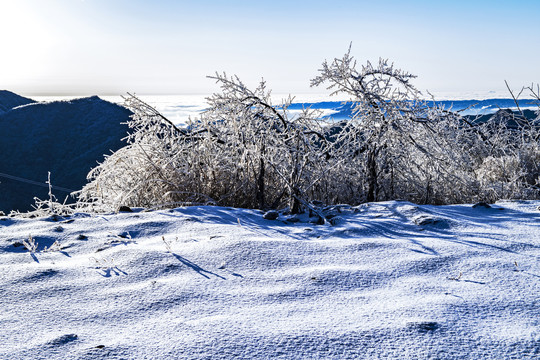 雪景