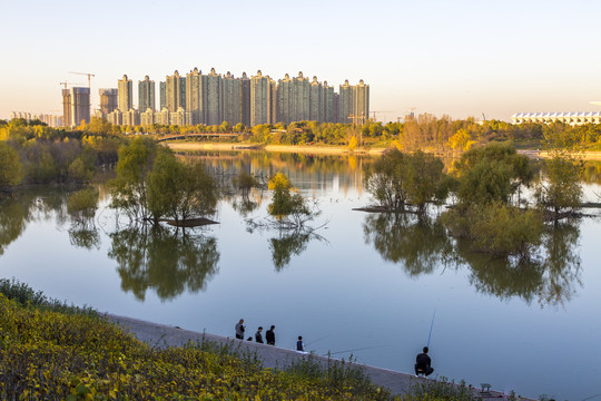 灞河秋景