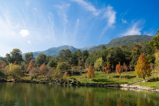 大理大学