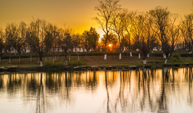 滇池湿地日落