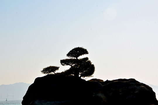 鼓浪石风景