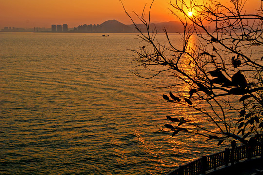 厦门海滨黄昏风景