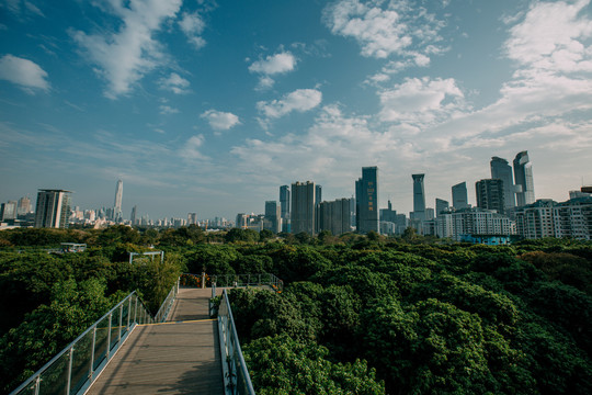 香蜜公园