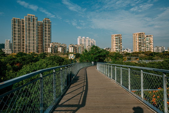 香蜜公园