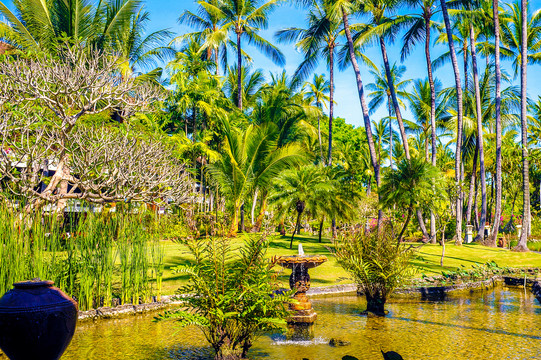 椰树度假区