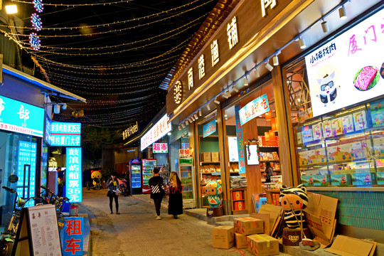 厦门曾厝安街头夜景