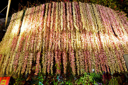 装饰花墙