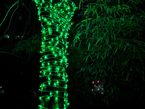 装饰灯与绿竹