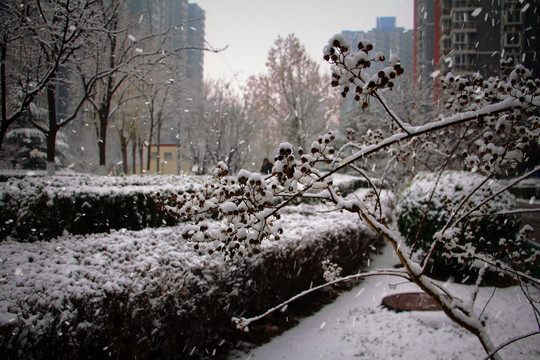 雪落