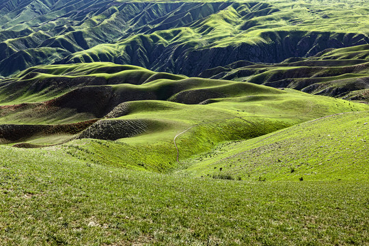 喀拉峻大草原风光