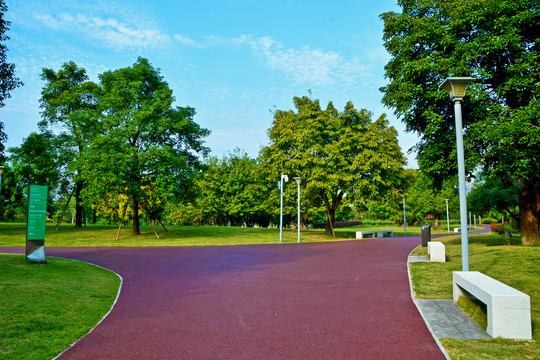 公园道路风景