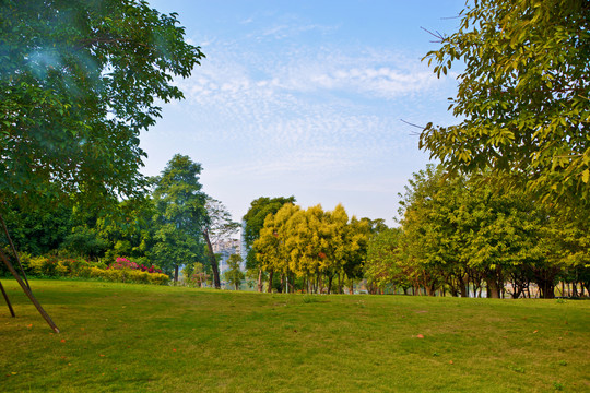 公园绿草地风景