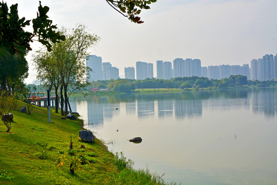 漳州碧湖生态公园