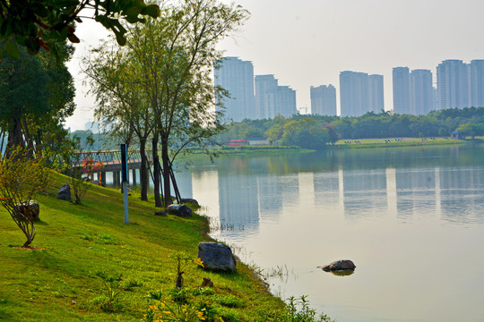 漳州碧湖生态公园