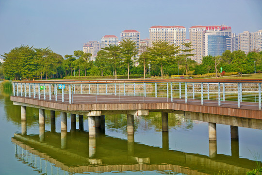 漳州碧湖生态公园