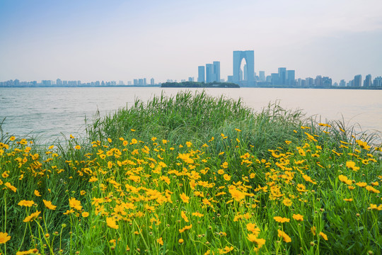 中国苏州金鸡湖畔的现代城市建筑