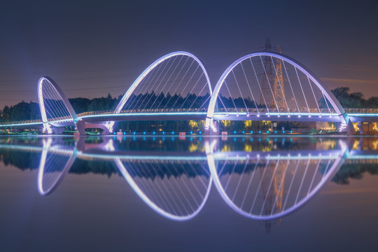 中国苏州金鸡湖畔的城市建筑和桥