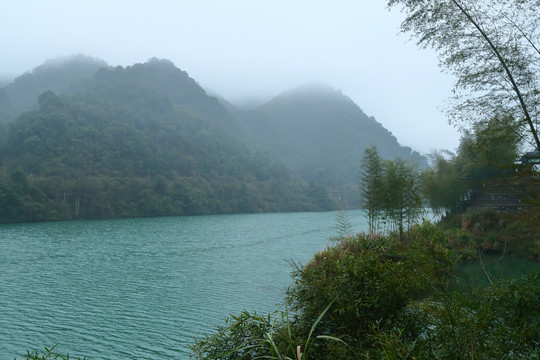 浓雾山水