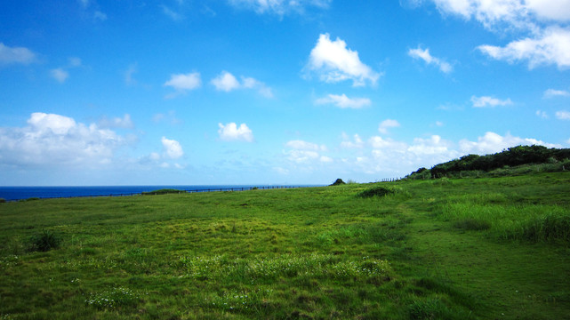 冲绳岛草坪