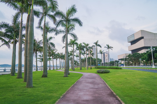 珠海市滨海公园的树林和草坪