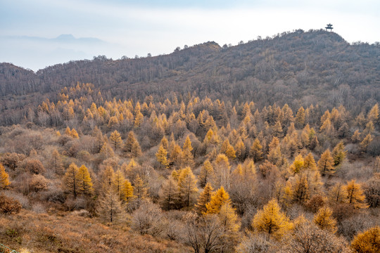 中国河北省白石山景区风景