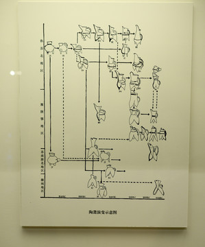 陶器演变示意图