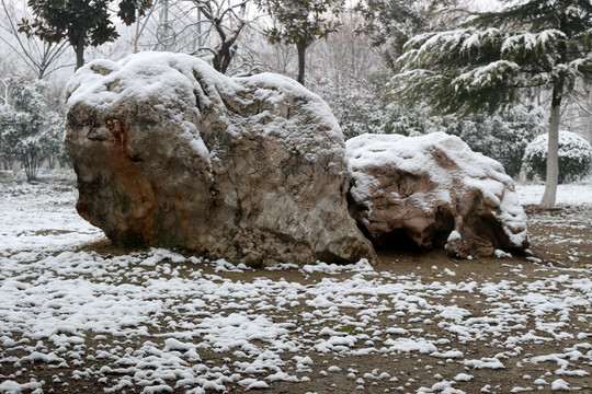 雪中奇石
