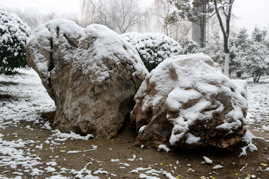 雪景