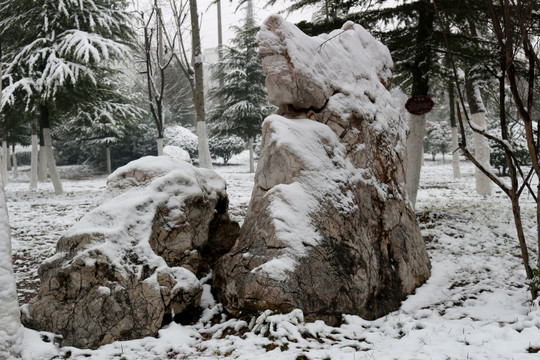 冬天雪景