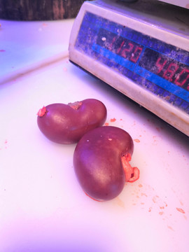 羊腰子